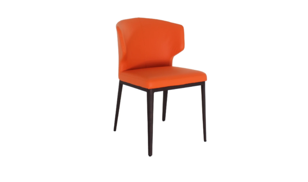 A111 Dining Chair