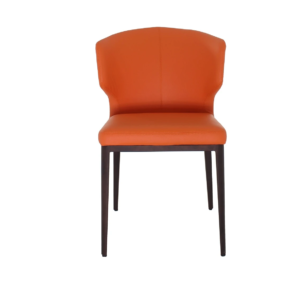 DC-011 Dining Chair - Image 5