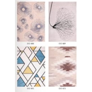 CPT-015 Rugs - Image 4