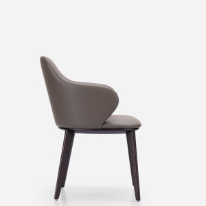 Dinning Chair-065, Modern Interior Design Styles