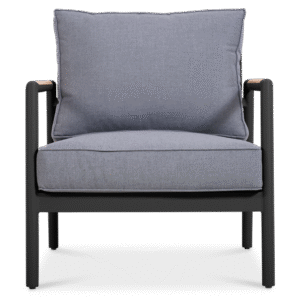 Dexa Single Seater - Image 2
