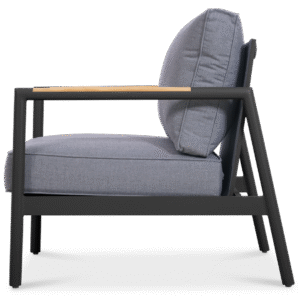 Dexa Single Seater - Image 3