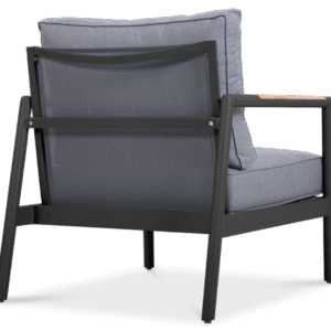 Dexa Single Seater - Image 4