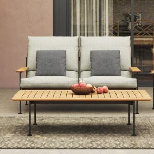 Alpha 2 Seater - Image 5